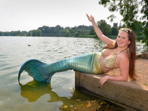 Supporting image for story: Heat and rise of blue-green algae stops mermaid from swimming in the Mere 