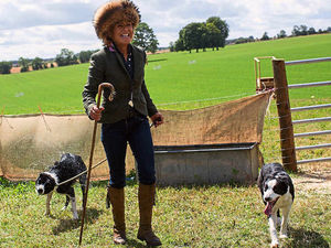 Supporting image for story: One Man and His Dog winner Katy comes a cropper at trials