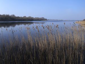 Supporting image for story: Tory green group urges Badenoch to prioritise nature recovery