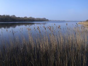 Supporting image for story: Tory green group urges Badenoch to prioritise nature recovery