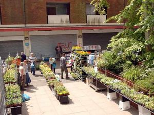 Supporting image for story: Will new Tesco kill off market?