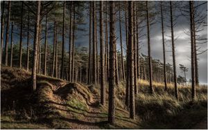 Last Light by Richard Greswell