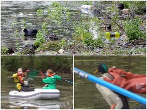 Supporting image for story: Ducks dropping dead in ‘hazardous’ Victoria Park pool in Smethwick