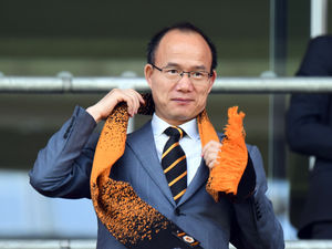 Supporting image for story: Wolves owner Fosun hit by fall in profits over pandemic 