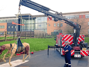 Supporting image for story: Animal rescue equipment gives Shropshire fire crews a lift