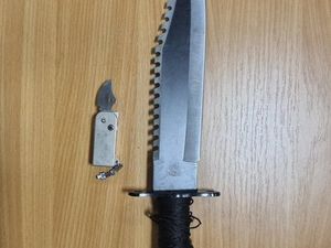 Supporting image for story: Dangerous blades seized from 14-year-old in Black Country after police chase 