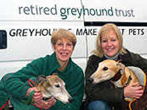 Supporting image for story: Charity races to best ever year