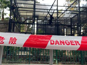 Supporting image for story: Hong Kong zoo probes deaths of nine monkeys in two days
