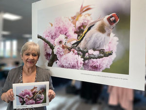 Supporting image for story: Eco-art to feature in 2023 calendar