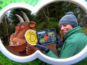 Supporting image for story: Gruffalo Spotter app coming to Cannock Chase