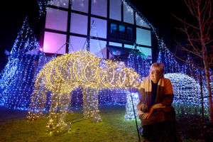Supporting image for story: Watch - Polar bears and icebergs in Market Drayton couple's amazing Christmas lights display