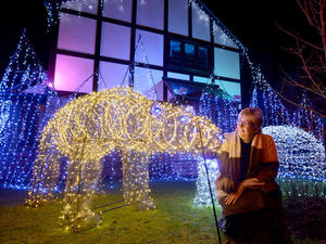 Supporting image for story: Watch - Polar bears and icebergs in Market Drayton couple's amazing Christmas lights display