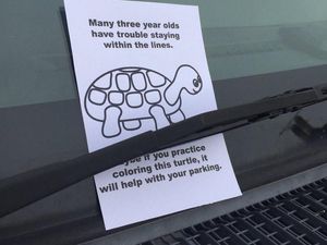 Supporting image for story