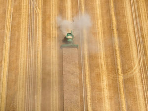 Supporting image for story: Farming under the blazing sun: Agriculture conditions 'worst in generation'