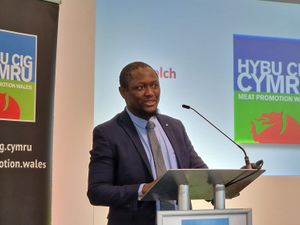 Supporting image for story: Muslim markets support the future of Welsh Lamb sales, says expert