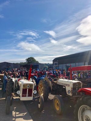 Crowds of people turned out to take part in the run