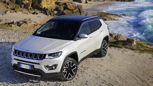 Supporting image for story