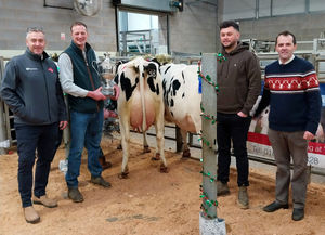 David Hares holds the Bryan Challenor Cup watched by Rob Braithwaite (far left) from World Wide Sires, judge James Meddins and Halls’ auctioneer Jonny Dymond.