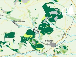 Supporting image for story: Plans revealed for new 52-acre woodland near Ludlow