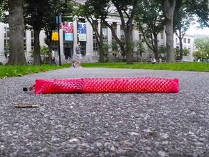 Supporting image for story: This creepy robot slithers on its belly like a snake