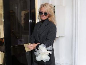 Supporting image for story