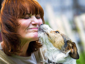 Supporting image for story: Slurry pit rescue drama for lucky dog Jackson