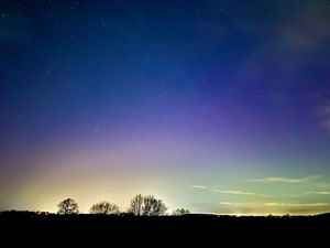 Picture by Rob Davies at Cressage