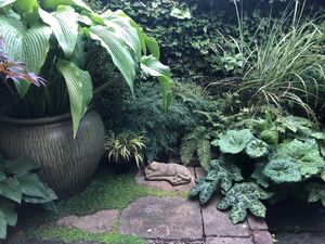 There are also seating areas, unusual varieties of plants and interesting pots