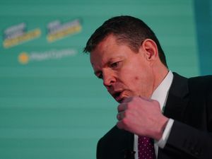 Supporting image for story: Wales must shout louder, Plaid Cymru leader says