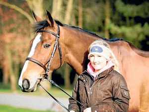 Supporting image for story: Kauto Star is back in the saddle