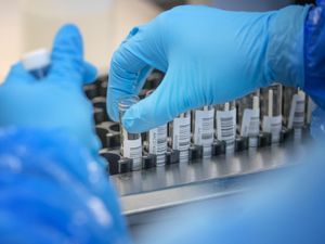 Supporting image for story: Coronavirus mutations not speeding up spread, say scientists