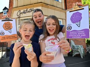 Supporting image for story: Lucky Shrewsbury primary school pupils see ice cream dreams created for real by local business