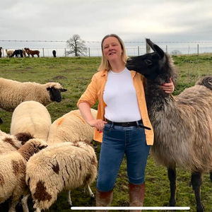 Natalie Franklin-Hackett, co-owner of Frankly Farm Tours, poses with Jeffery the Llama and some of the farm’s rare breed sheep.