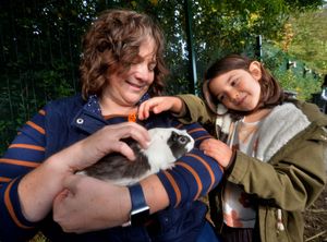 Supporting image for story: Market Drayton primary school opens its doors to the community for social farm open event