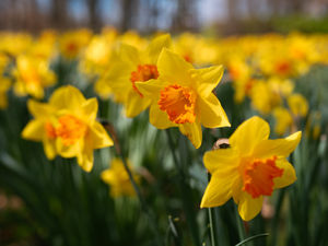 Supporting image for story: What's the weather going to be like over Easter? This is what the Met Office thinks...