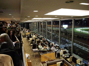 Supporting image for story: First dual horse and greyhound racing fixture dubbed “huge success” at Wolverhampton's Dunstall Park