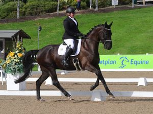 Supporting image for story: Oswestry horse rider wins competitive dressage competition