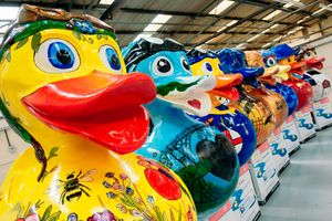 The Let's Go Quackers ducks will be taken into storage before they are auctioned off