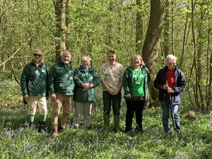 Supporting image for story: Last tickets available for bluebell walk in 'As You Like It' wood near Wem  