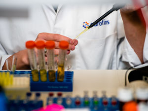 Supporting image for story: Behind the scenes at Eurofins' state-of-the-art Wolverhampton lab making your food safe - WATCH