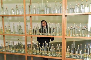 Supporting image for story: New exhibition at Walsall Art Gallery maps world artists' work