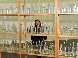 Supporting image for story: New exhibition at Walsall Art Gallery maps world artists' work