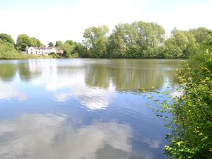 Supporting image for story: Plans drawn up to preserve Telford beauty spot