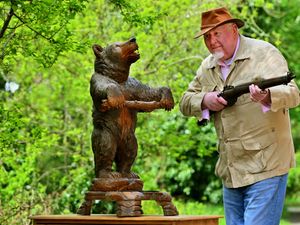 Supporting image for story: Antique hunters expect to set their sights on rare Black Forest bear