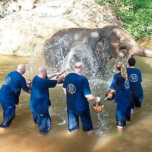 Get your trunks on – an elephant bath