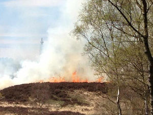 Supporting image for story: Fires sweep through Cannock Chase
