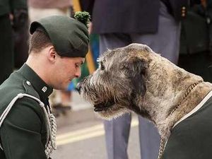 Supporting image for story: Praise for troops at base