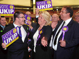 Supporting image for story: UKIP victory 'is no protest vote'