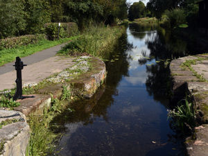 Supporting image for story: Four weeks of work starting on canal in Newport