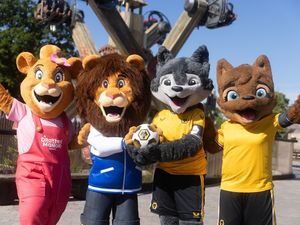 Supporting image for story: Theme park partners with Wolves for new season